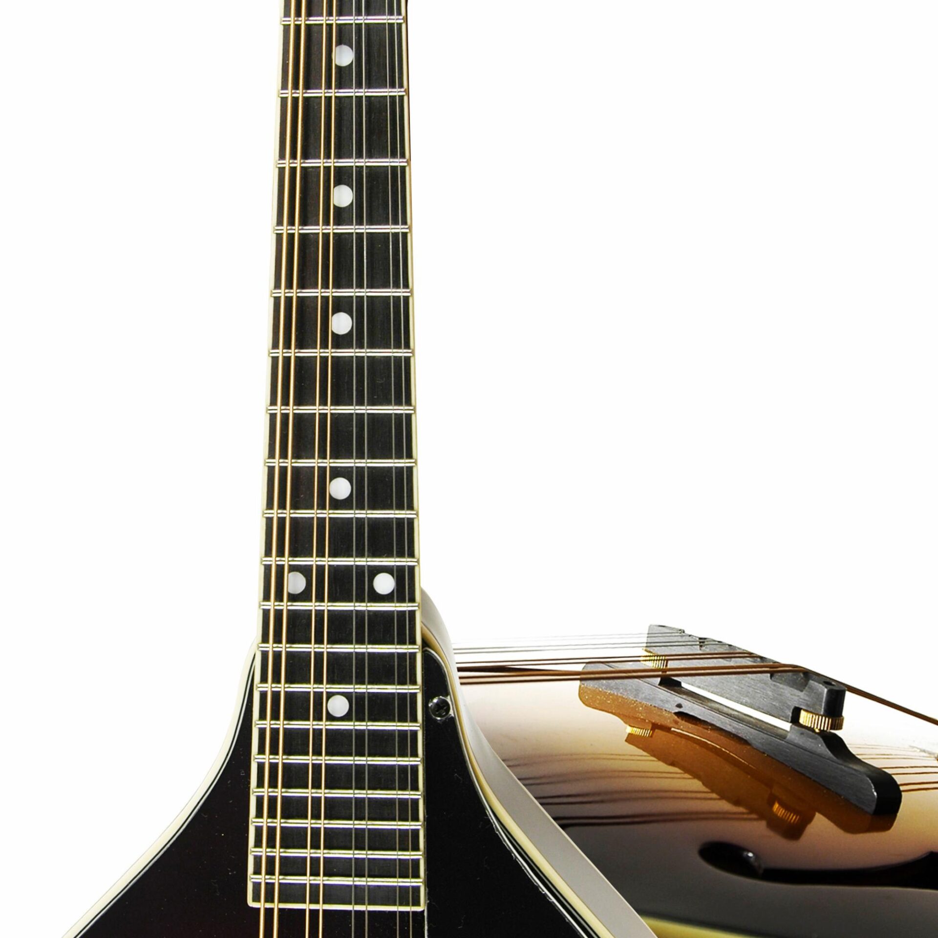 Delta Ridge A-Model Mandolin - Image 4