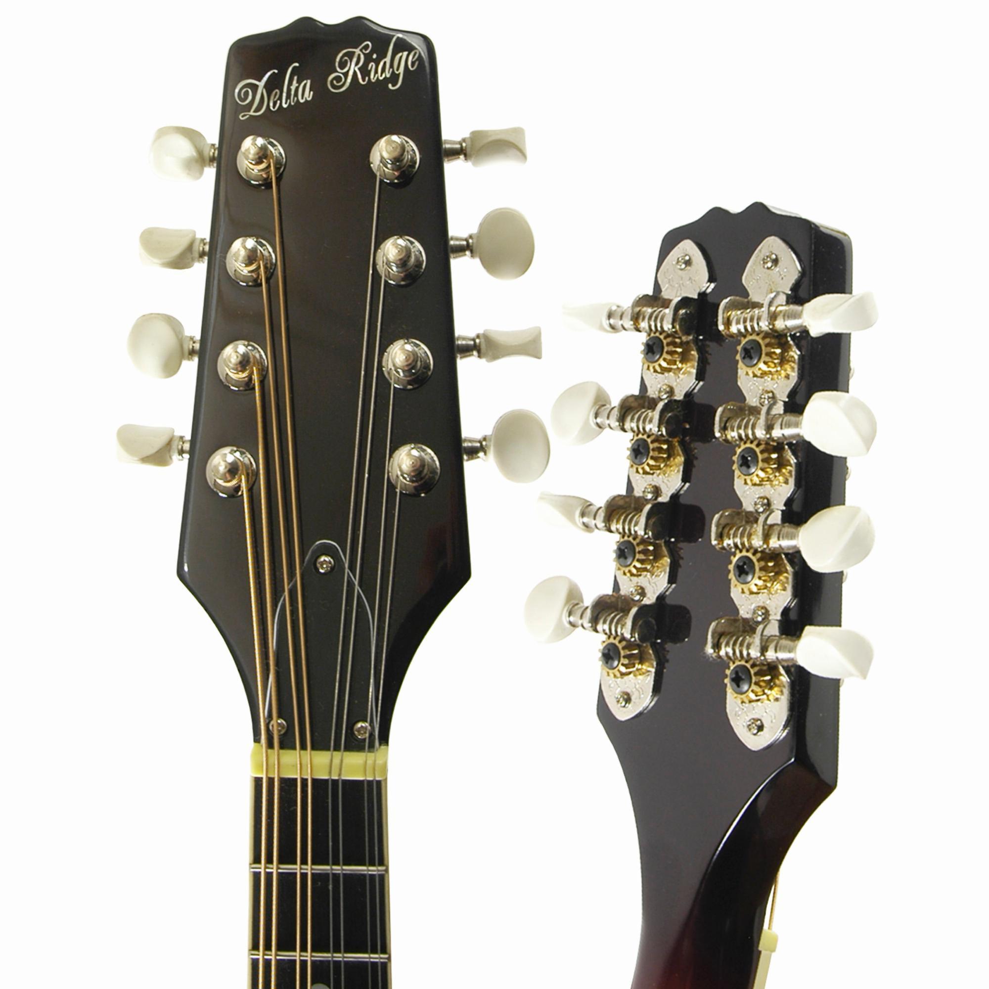 Delta Ridge A-Model Mandolin - Image 5
