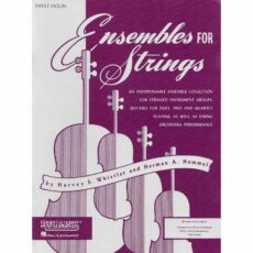 Ensembles for Strings