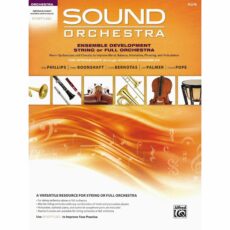 Sound Orchestra: Ensemble Developement