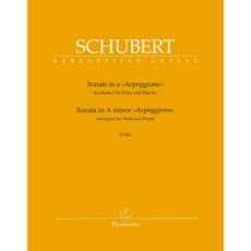 Schubert -- Sonata in A Minor, D. 821 (Arpeggione) for Viola and Piano