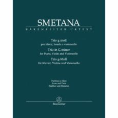 Smetana -- Piano Trio in G Minor