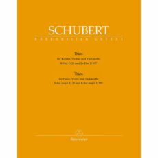Schubert -- Piano Trios, D. 28 & 897