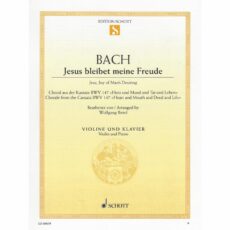 Bach -- Jesu, Joy of Man's Desiring for Violin and Piano